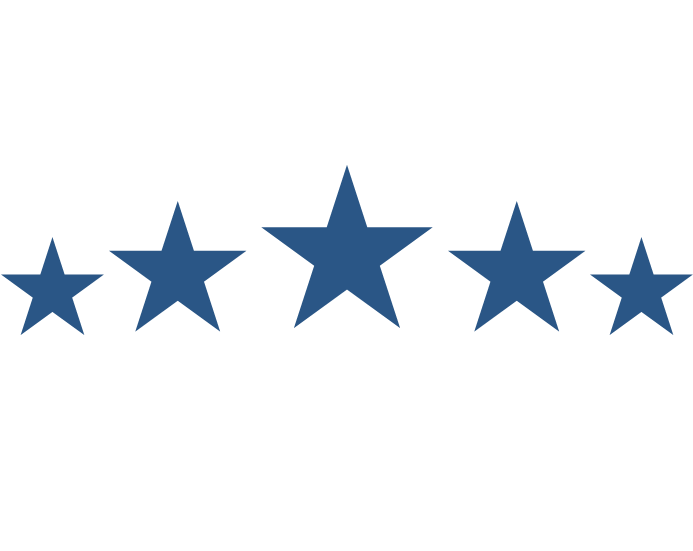 5 stars in blue representing Business Excellence